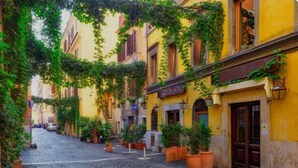 Uma rua de paralelepípedos ladeada por edifícios amarelos, alguns com trepadeiras e alguns vasos de plantas.