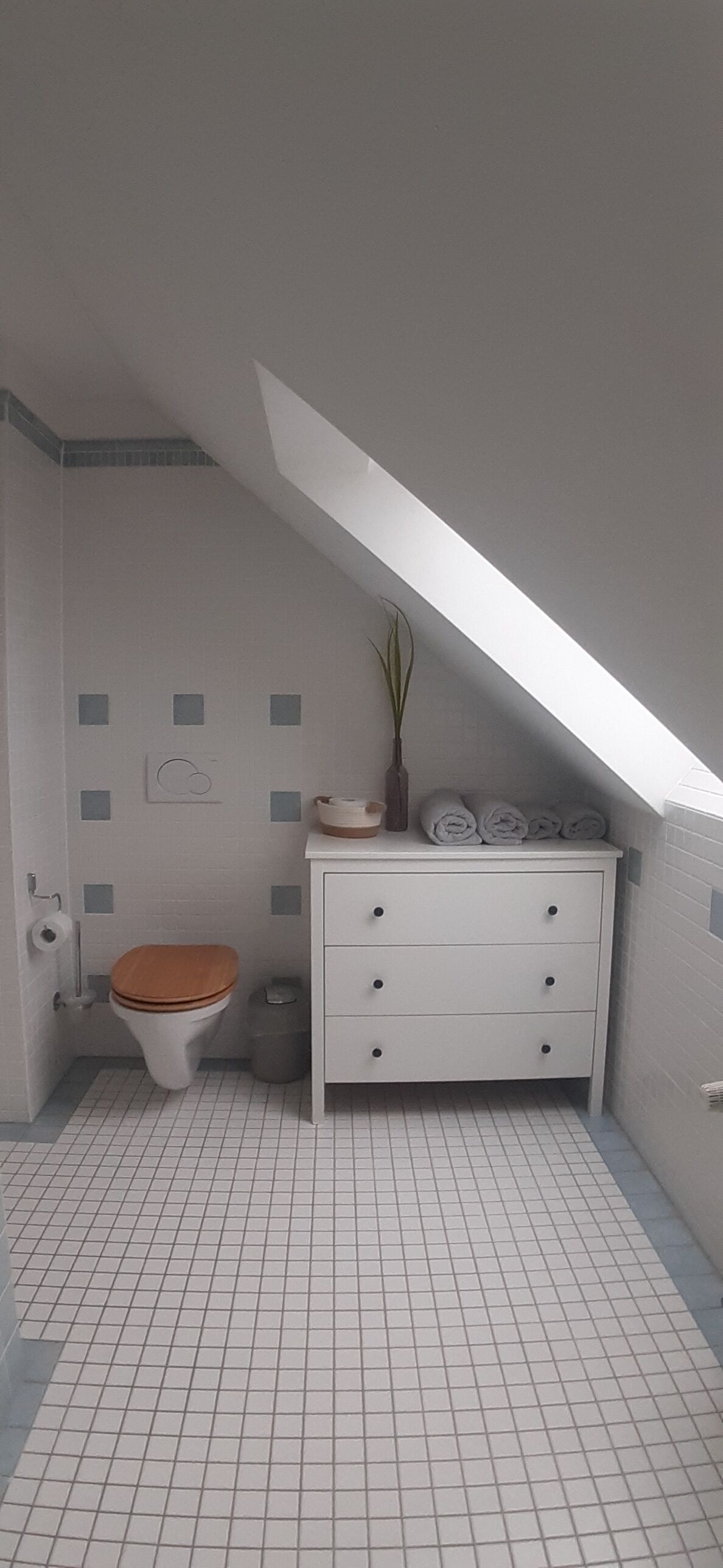 Haartrockner, Handtücher, Seife, Toilettenpapier