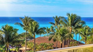 Vista de playa tropical con palmeras y cielo azul despejado.