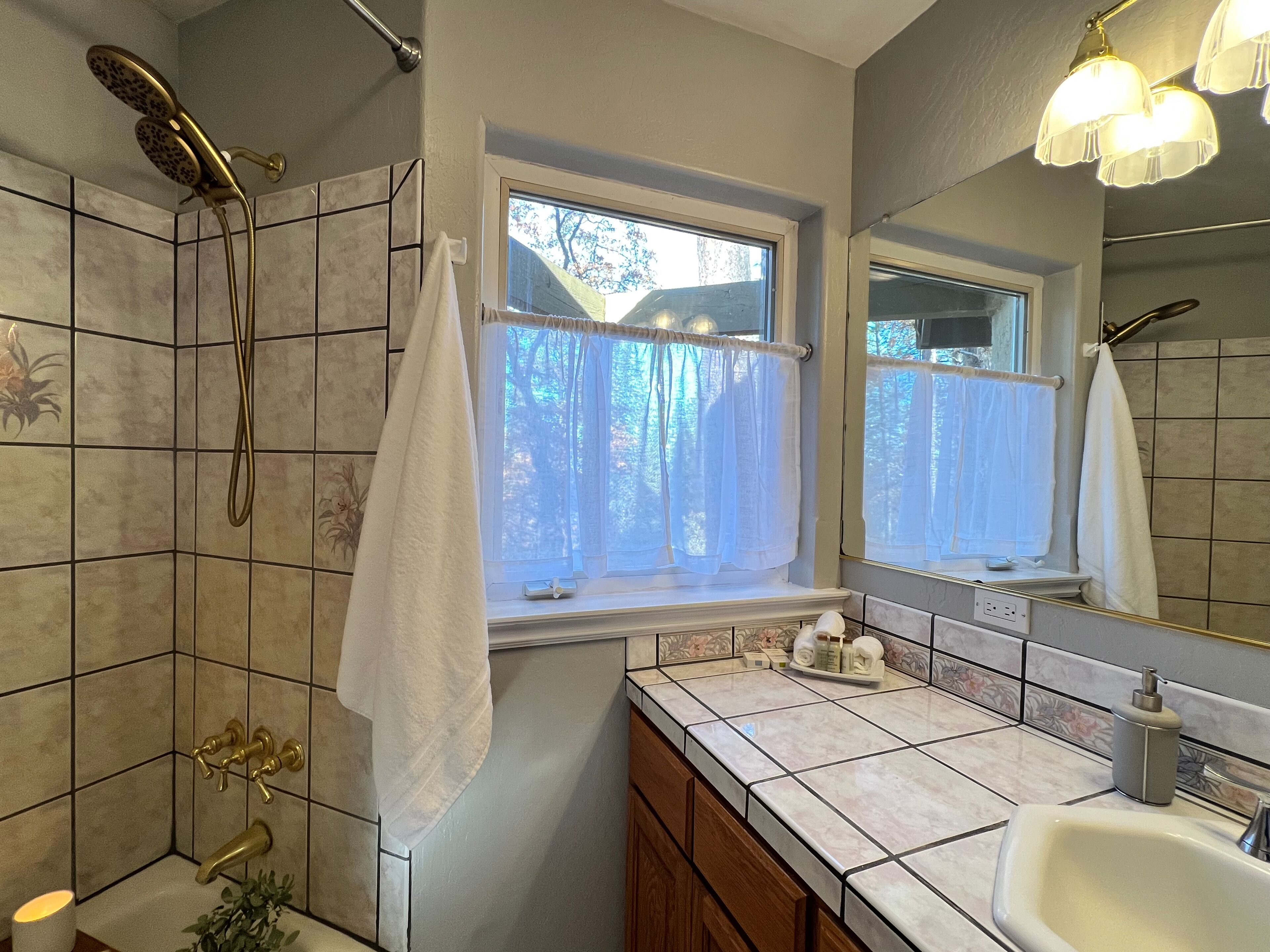 Hair dryer, towels, soap, shampoo