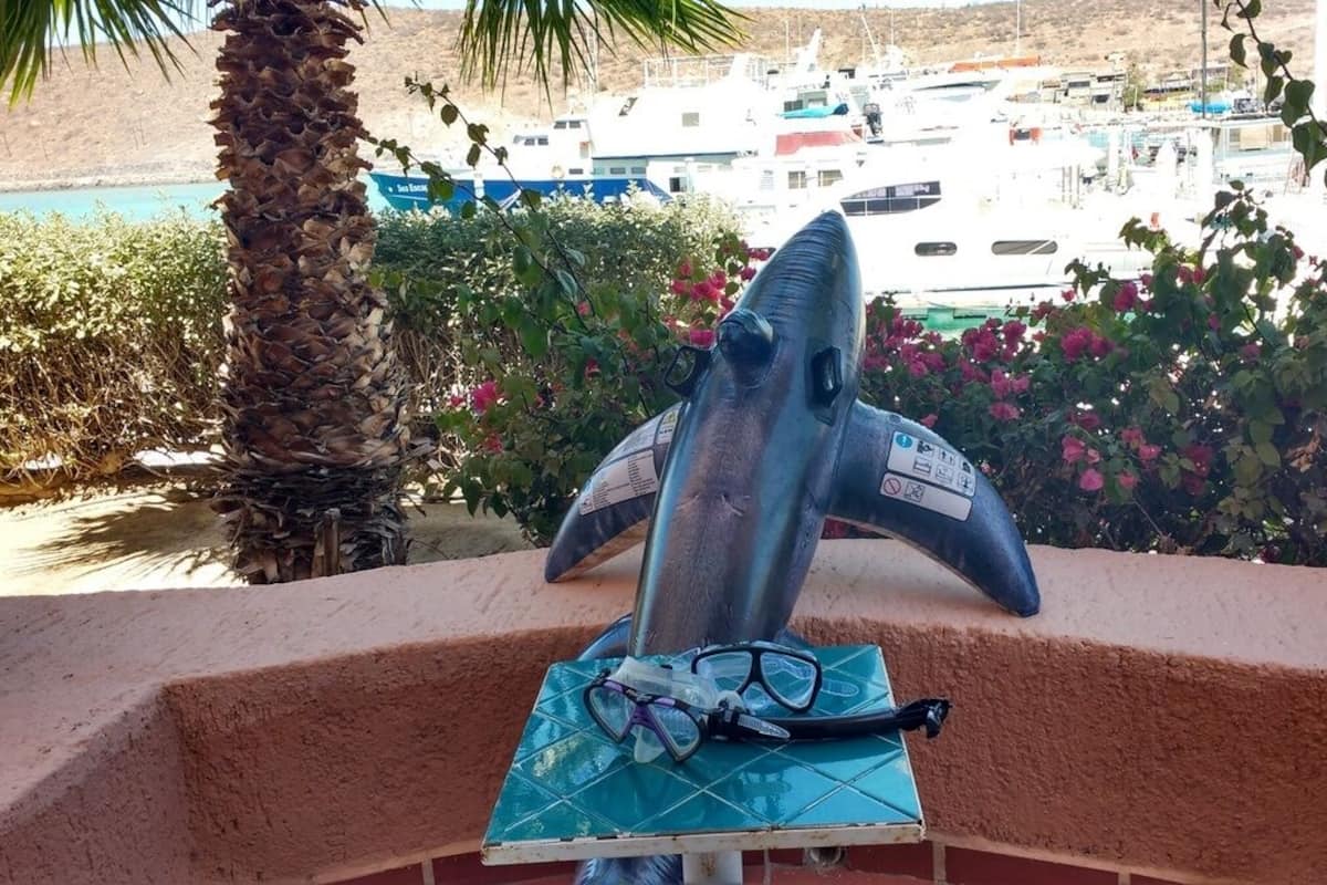 Una escultura de tiburón sobre una mesa con un par de gafas, con vistas a un puerto deportivo lleno de barcos.