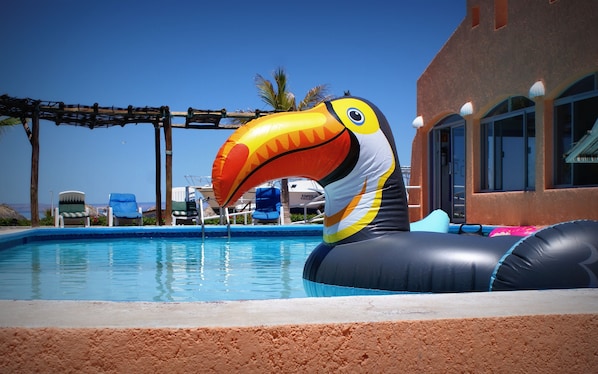 Outdoor pool, pool umbrellas, pool loungers