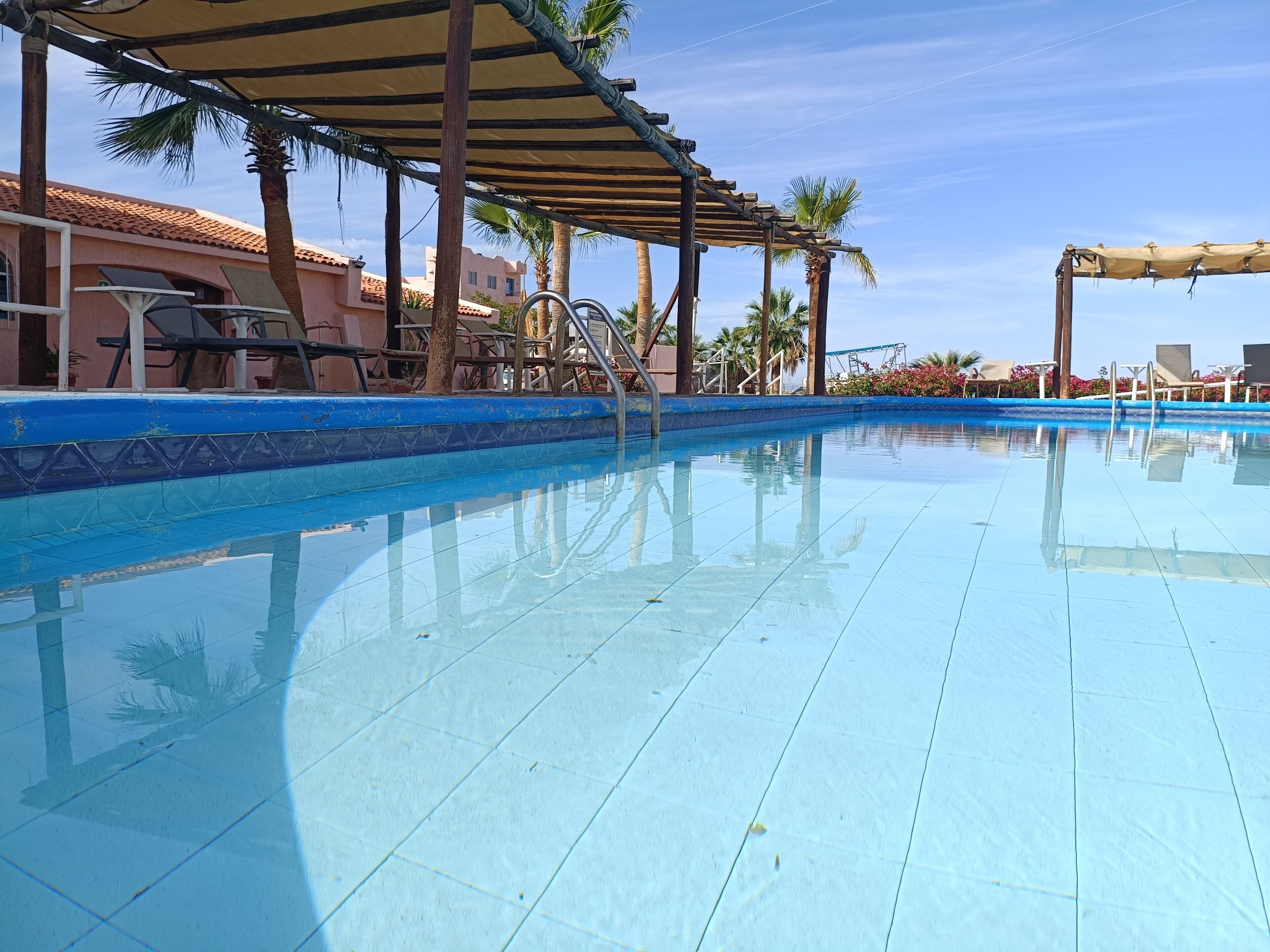 Outdoor pool, pool umbrellas, pool loungers