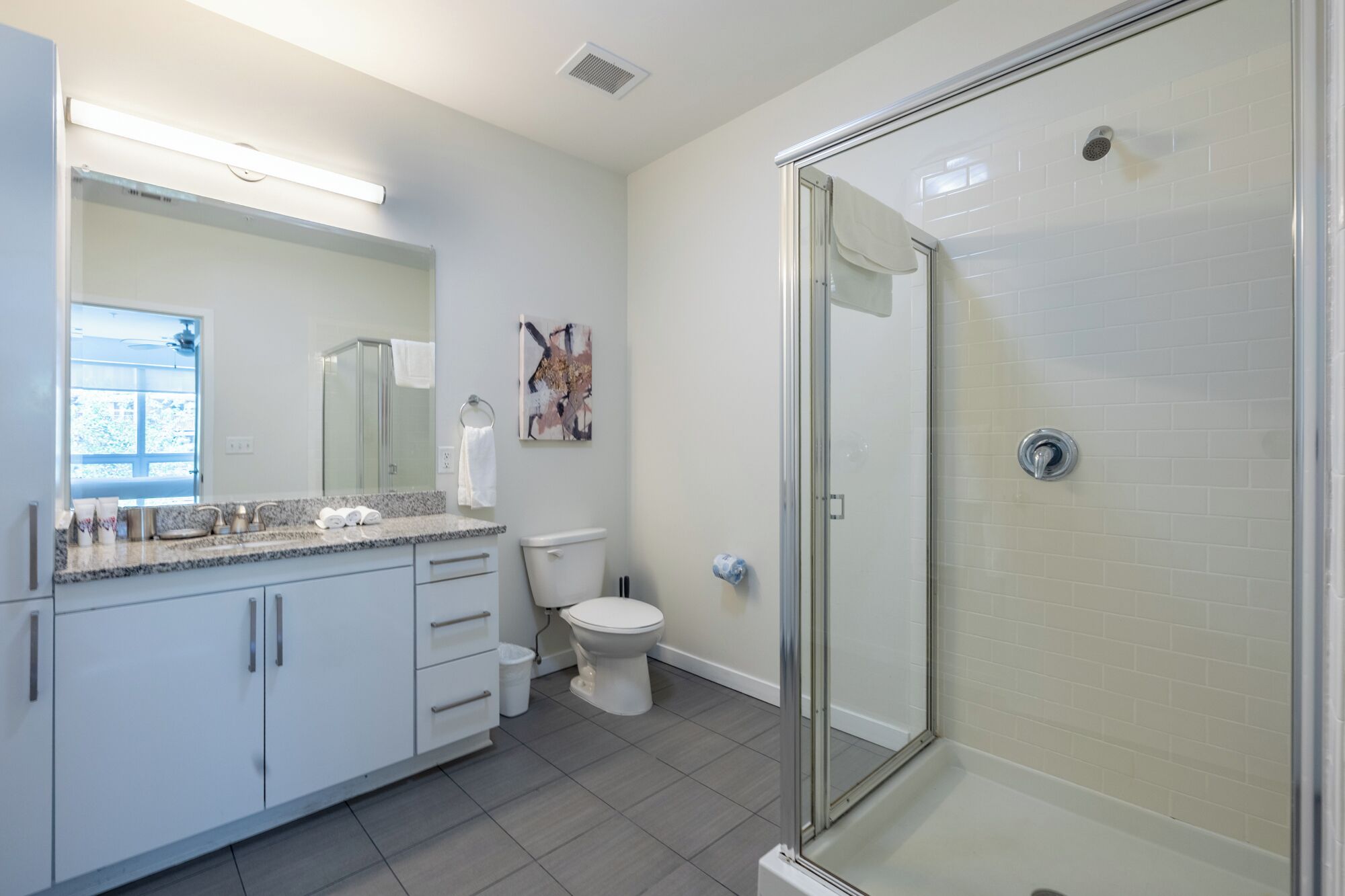 Apartment, 2 Bedrooms, Pets Allowed | Bathroom | Combined shower/tub, free toiletries, hair dryer, towels