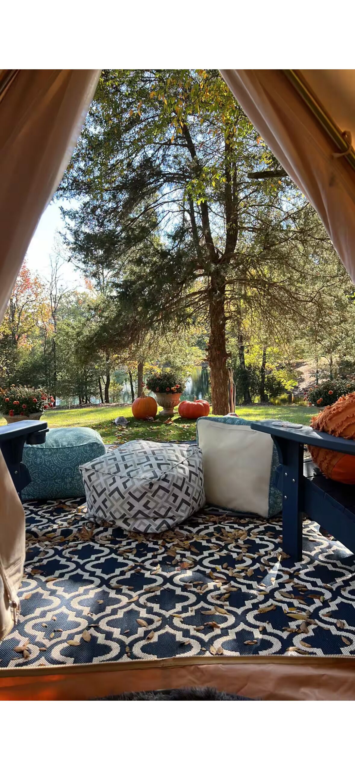 A tented outdoor area with a patterned rug, blue and white cushions, and a view of trees and pumpkins in the background.