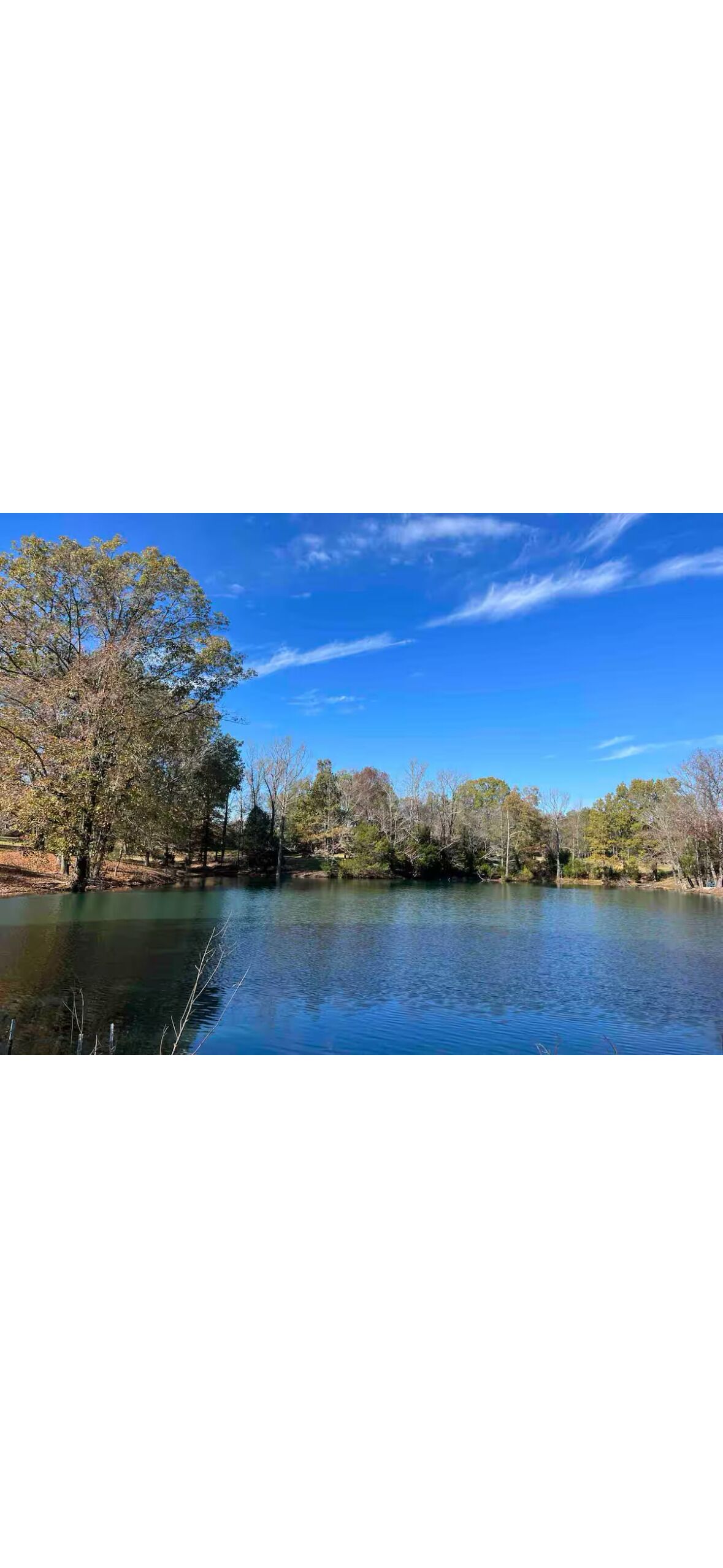 A calm lake surrounded by trees and a clear blue sky.
