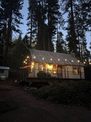 A rustic cabin with a metal roof, surrounded by tall pine trees. It features a porch with string lights and a covered seating area. - Quaint 1-bedroom cabin in Kyburz for a cozy getaway (Kyburz)
