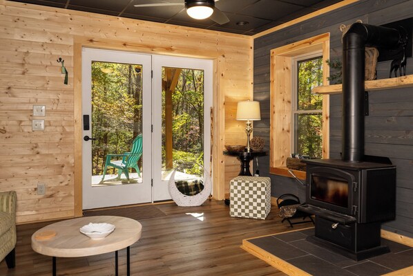 Smart TV, chimenea, reproductor de DVD y libros 