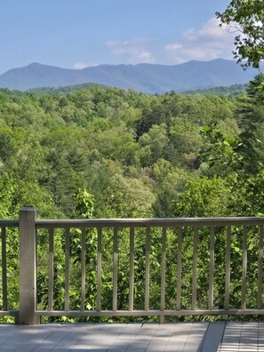 Property grounds - Beautiful Private Mountainview Spacious 4-bedroom house in charming Murphy (Murphy)