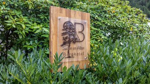 Une enseigne en bois portant un logo et une inscription indiquant un hôtel nommé « Suiten in Alten Berghotel ».