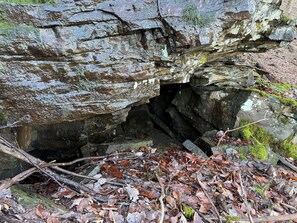 Miscellaneous - Secluded House on Cumberland Plateau with breathtaking views nestled on 60 Acres (Altamont)