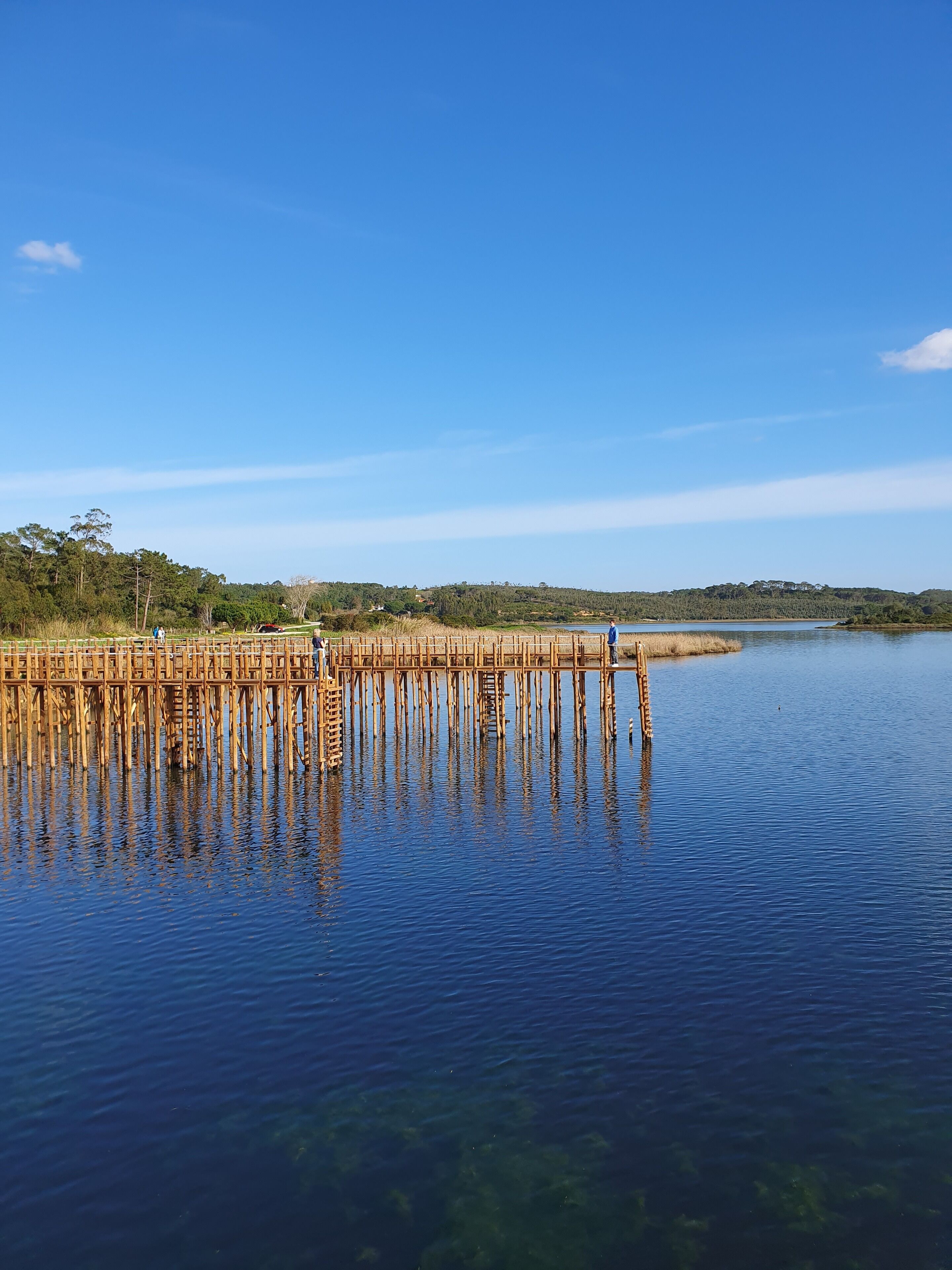 Une jetée en bois s’étendant sur une étendue d’eau calme où se reflètent les environs, entourée de verdure et bordée, au loin, par une colline où se dressent des bâtiments.