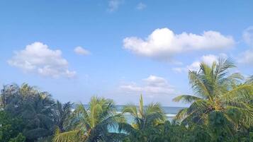 Land view from property