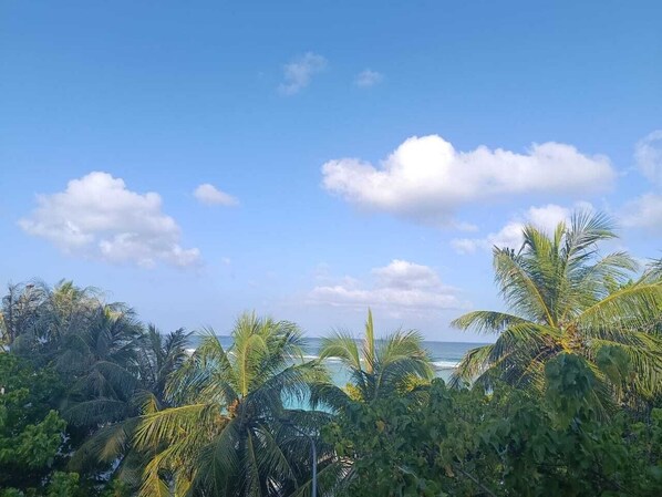 Vista de una playa tropical con palmeras y cielo despejado.