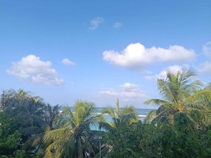 Land view from property
