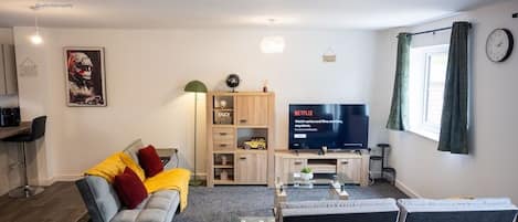 TV, fireplace, video games, DVD player