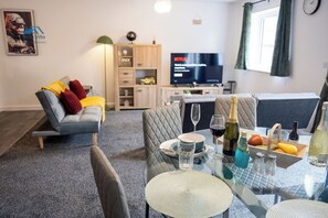 TV, fireplace, video games, DVD player
