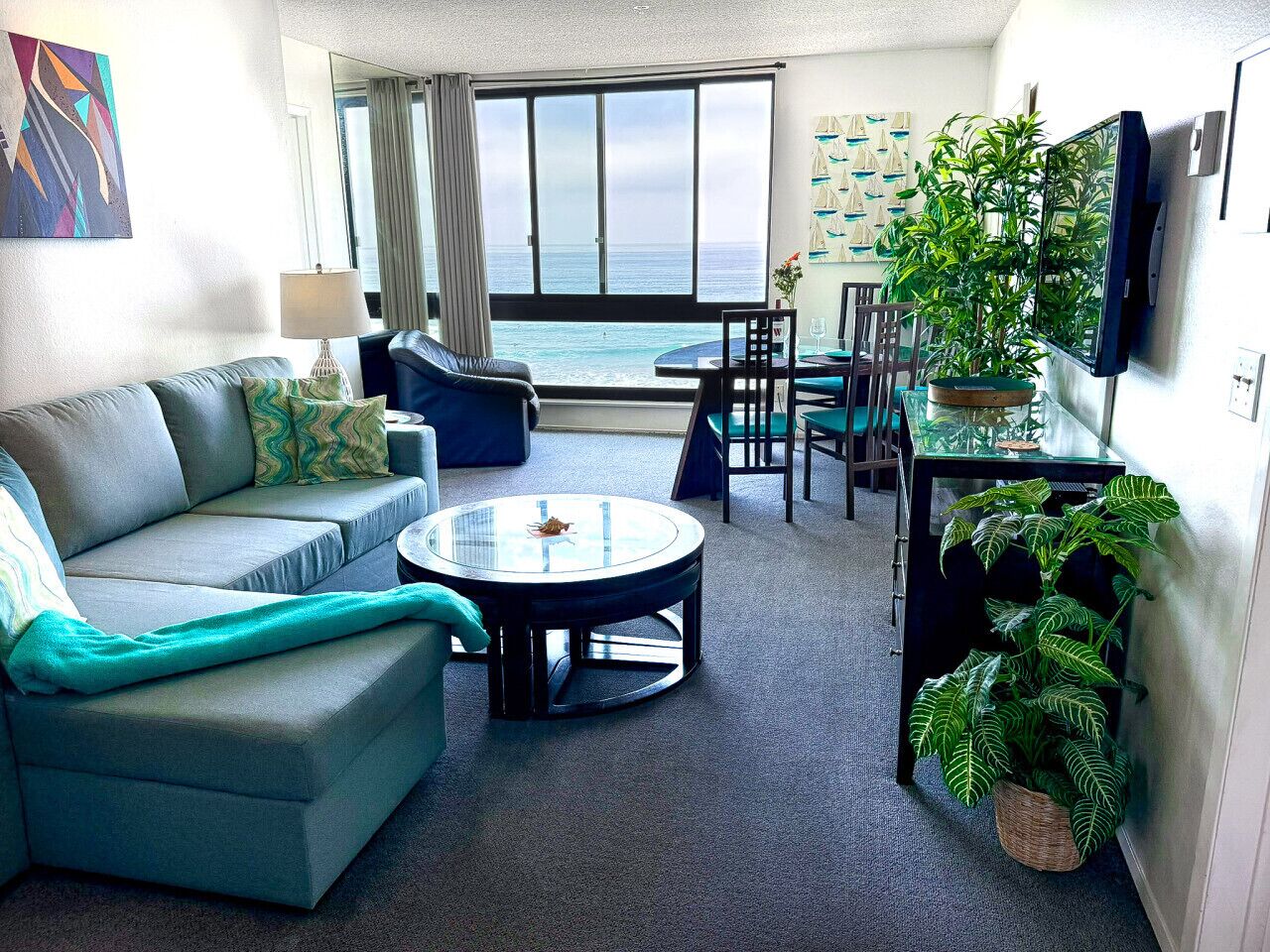 电视、DVD 播放器、书