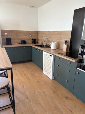 Private kitchen - Spacious apartment (Triors)