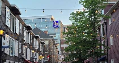 Iconic Luxurious Downtown Building History Galore