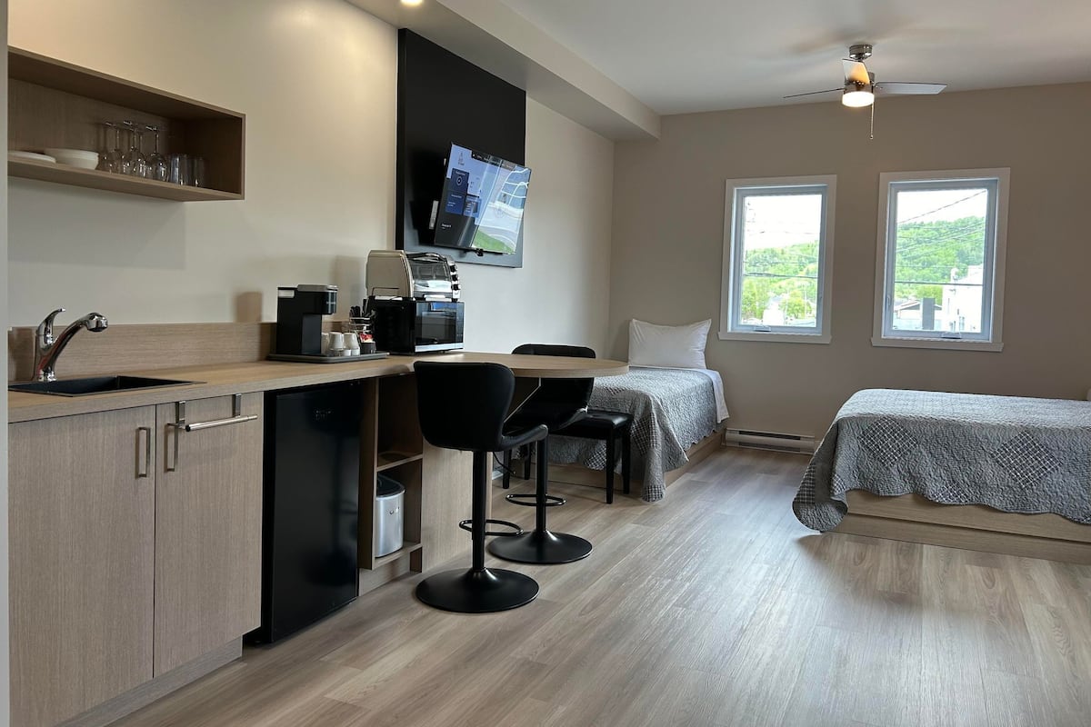 Une chambre moderne équipée d’un coin cuisine, d’un lit et de deux fenêtres.