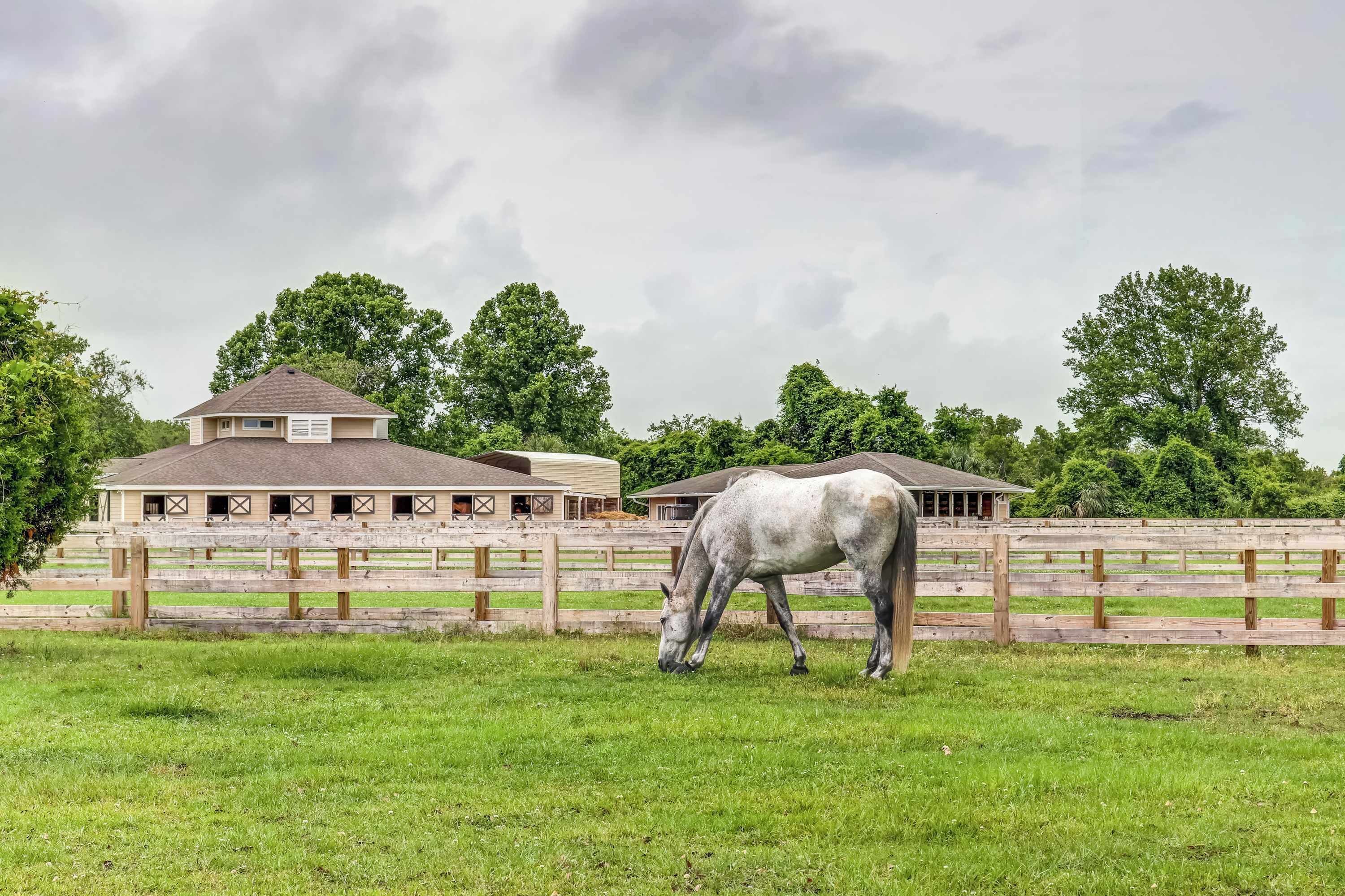 A stable with a horse grazing in a fenced pasture, surrounded by trees and a building with multiple windows.
