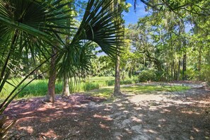 Un'area naturale all'aperto con alberi e un sentiero sterrato.