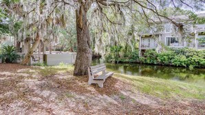 A bench under a tree with Spanish moss, a pond, and a building with balconies.