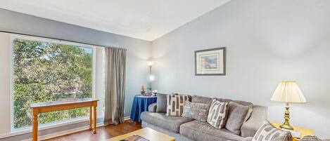 Fernseher, Arbeitsbereiche