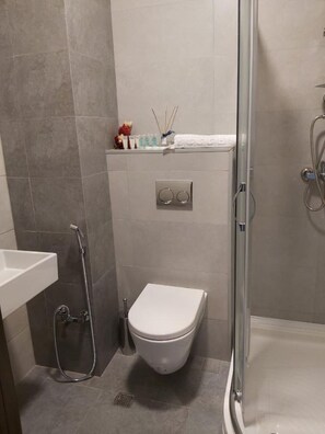 Dusche, Haartrockner, Handtücher, Seife