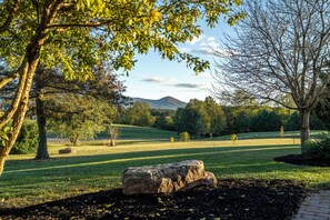 Property grounds - Picturesque and Private near Massanutten, Sleeps 20 (Elkton)
