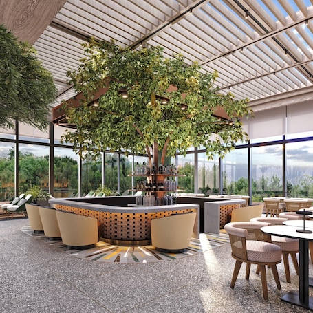 A modern bar area with a large tree, seating, and a view of the outdoors.