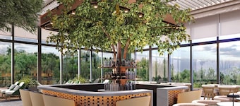 Hilton Istanbul Airport