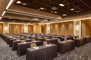 Ballroom - Hilton Istanbul Airport (Arnavutköy)