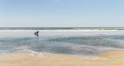 Cottage with natural wooded view - walking distance to beach/ lots of trails