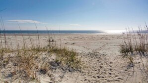 Ein Sandstrand mit vereinzelter Vegetation und blauem Himmel.