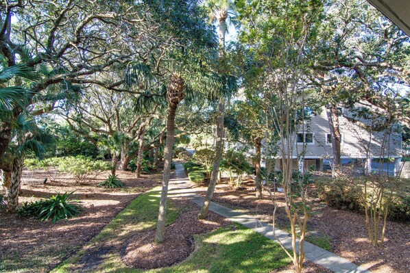 A residential area with a pathway leading to a house surrounded by various trees and shrubs.