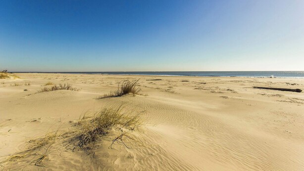 Una playa arenosa con dunas y vegetación escasa.