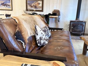 TV, fireplace, books