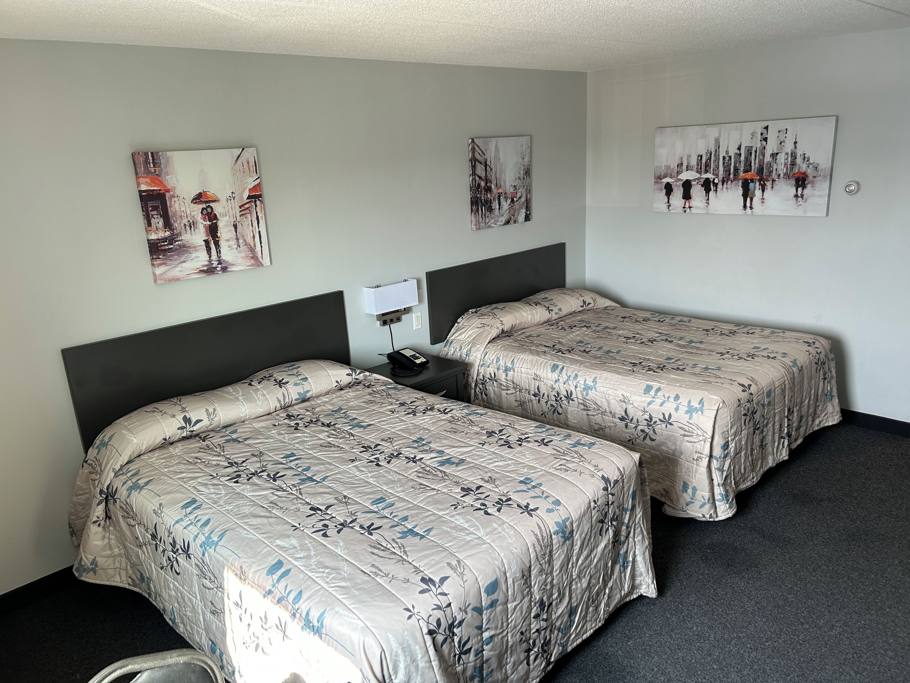 واي فاي مجانًا