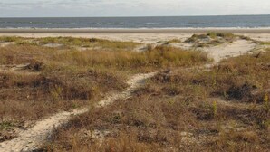 Une plage avec des dunes de sable et une vue dégagée sur l’océan.