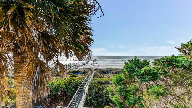 A wooden boardwalk leading to a beach with a palm tree on the left and dense greenery on the right. - Oceanfront, event-friendly home with multiple decks & WiFi - 2 dogs ok (Folly Beach)