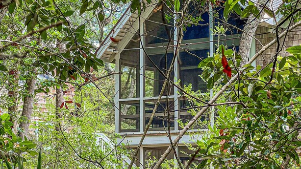 Una casa con un amplio ventanal y un árbol en primer plano.