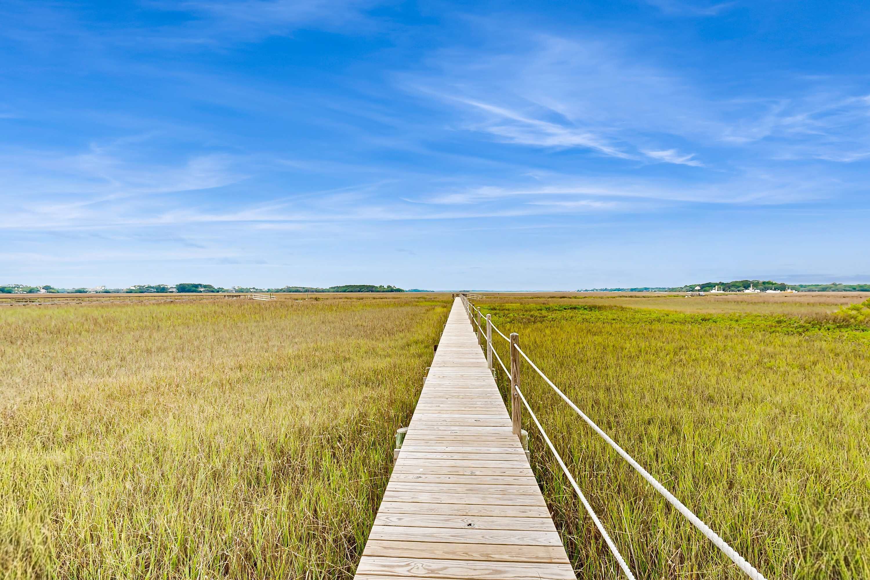 A wooden boardwalk extending into a field of tall grass under a clear blue sky.