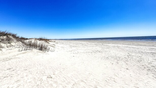 Ein Sandstrand mit Dünen und einem wolkenlosen, blauen Himmel.