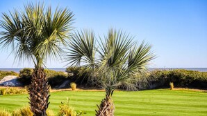 Ein Golfplatz mit zwei Palmen und blauem Himmel.