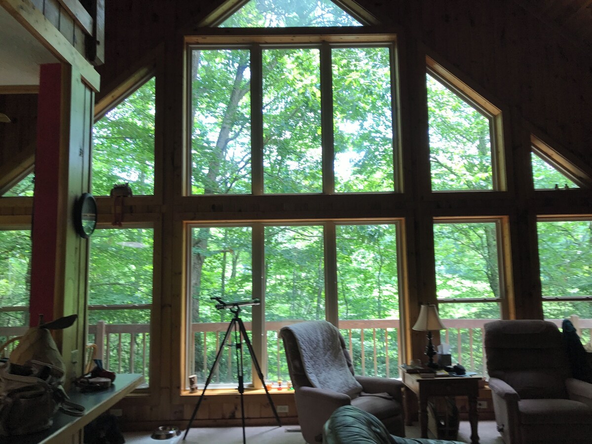 Image de profil de l’hôte