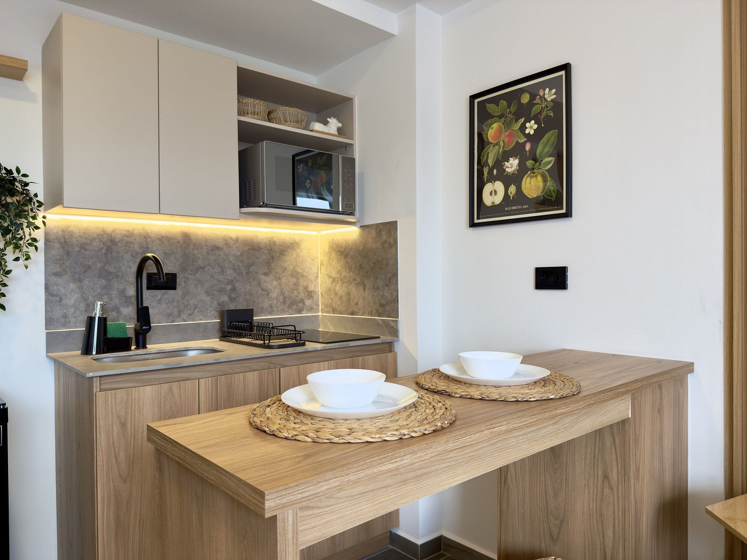 Classic Double Room | Private kitchen | Mini-fridge, microwave, stovetop, dishwasher