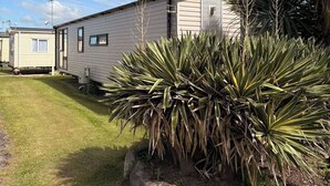 A mobile home with a satellite dish, a small garden with yucca plants, and a clear blue sky. - 3 Bedroom Caravan Alix (Rhyl)