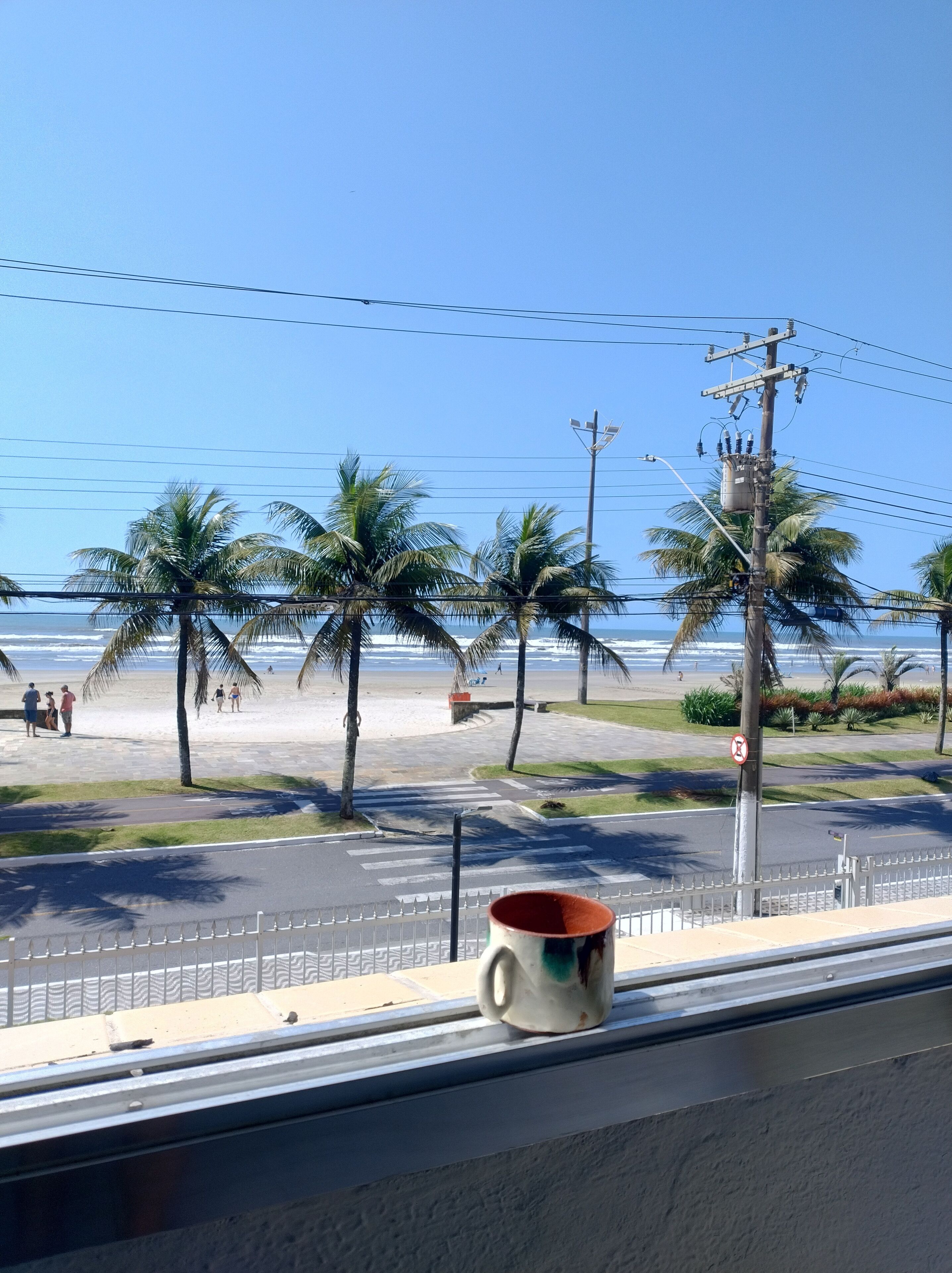 A beach view with palm trees, a road, and a utility pole.